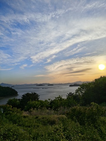 IMG_20260508_183356249_HDR.jpg