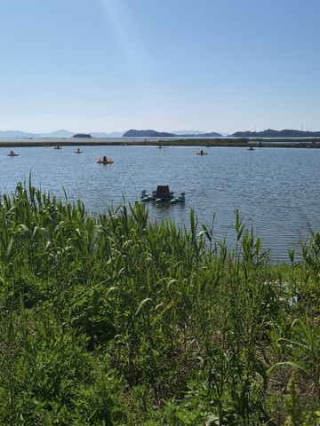 IMG_20260506_095034784.jpg
