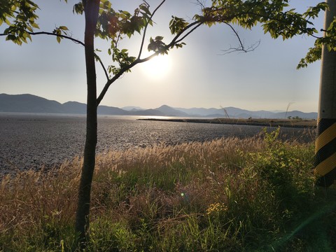 IMG_20260506_180752468.jpg