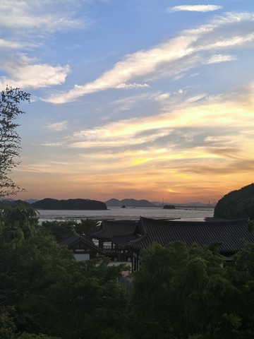 IMG_20260508_190634618_HDR.jpg