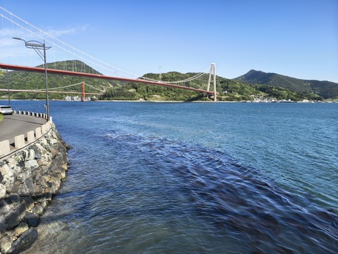 IMG_20260508_165142950_HDR.jpg
