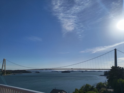 IMG_20260508_171241431.jpg