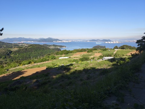IMG_20260509_073939877.jpg