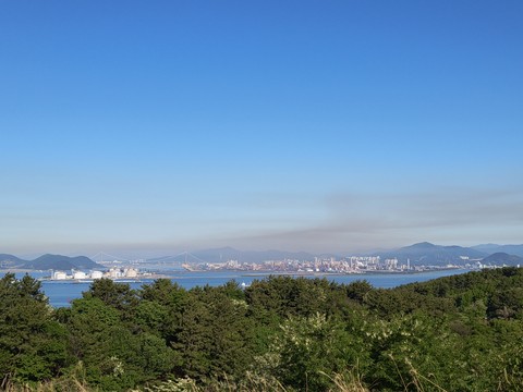IMG_20260509_074530271.jpg