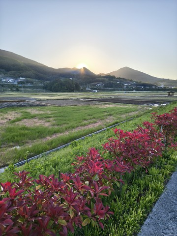 IMG_20260509_061201342_HDR.jpg