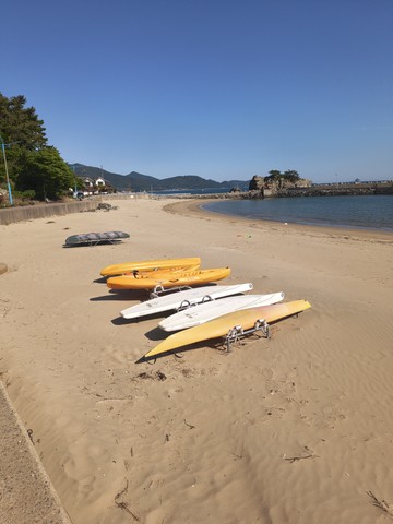 IMG_20260509_160512478.jpg