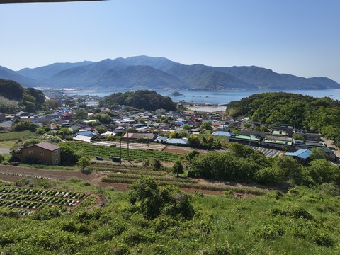IMG_20260510_084721937.jpg