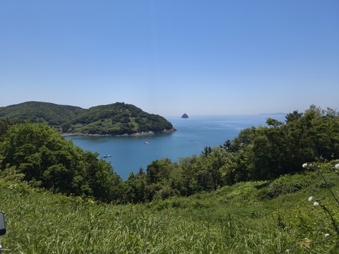 IMG_20260510_115943359.jpg