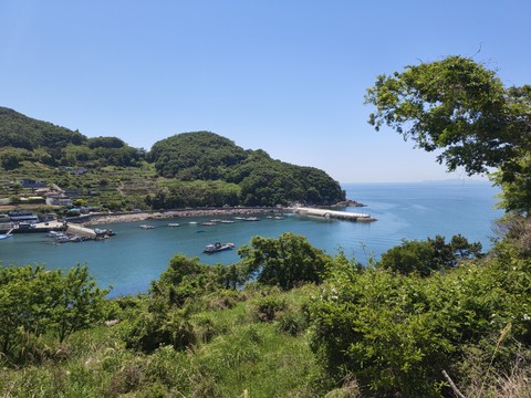 IMG_20260510_113005559.jpg