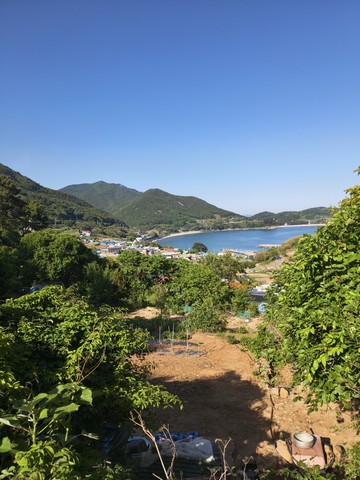 IMG_20260510_163215586.jpg
