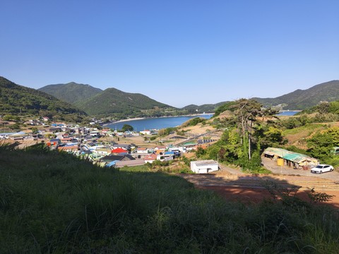 IMG_20260510_163321057.jpg