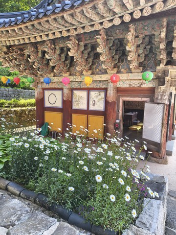 IMG_20260510_081735358_HDR.jpg