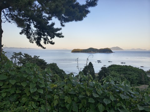 IMG_20260510_184219332_HDR.jpg