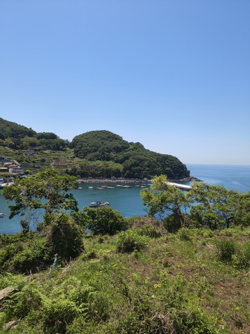 IMG_20260510_112927959.jpg