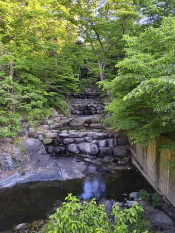 IMG_20260510_074042815.jpg