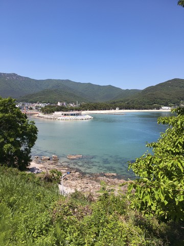 IMG_20260510_135254758.jpg