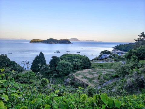 IMG_20260510_184209095_HDR~2.jpg