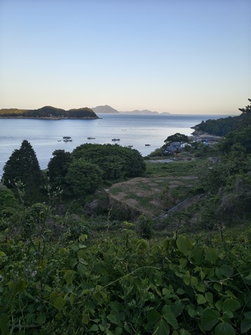IMG_20260510_184205049_HDR.jpg