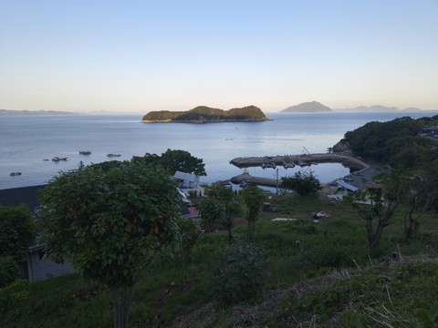 IMG_20260510_183828097.jpg