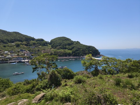 IMG_20260510_112919266.jpg