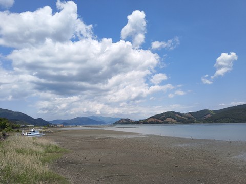 IMG_20260511_123845023.jpg