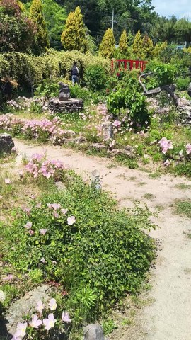 VID_20260511_123950139.mp4