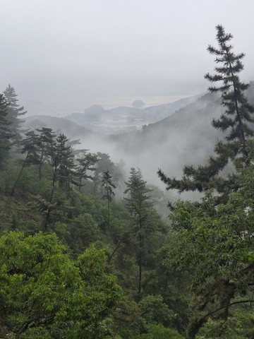 IMG_20260512_183637976_HDR.jpg