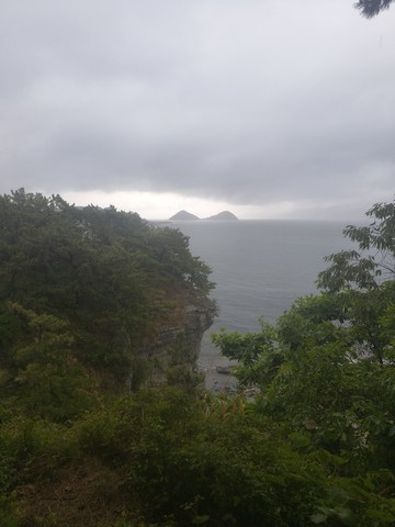 IMG_20260512_125227539.jpg
