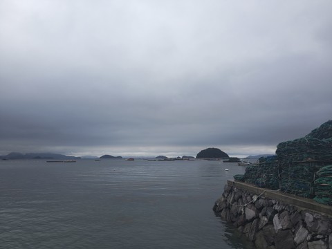 IMG_20260512_160631514.jpg
