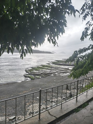 IMG_20260512_131039531_HDR.jpg