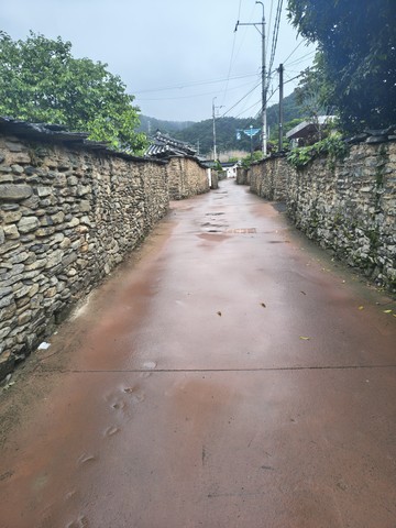 IMG_20260512_174101051_HDR.jpg