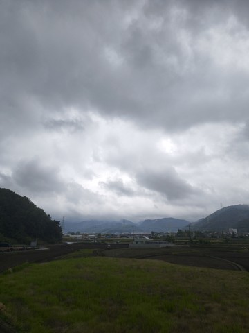 IMG_20260512_102215465.jpg