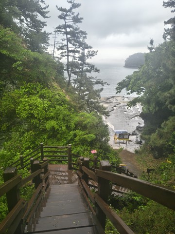 IMG_20260512_125410799_HDR.jpg