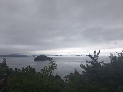 IMG_20260512_154932610.jpg