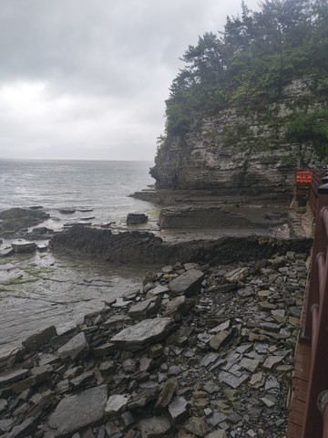 IMG_20260512_130652722.jpg