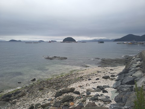IMG_20260512_160811822.jpg