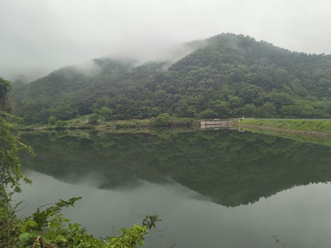 IMG_20260512_180627914.jpg