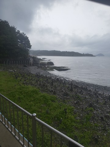 IMG_20260512_131442062.jpg
