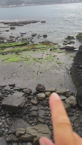 VID_20260512_130527955.mp4