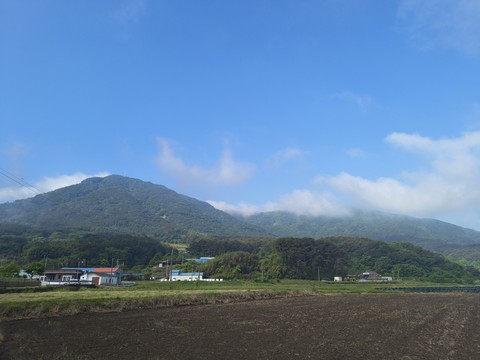 IMG_20260513_083454494.jpg
