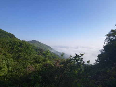 IMG_20260513_072723630.jpg
