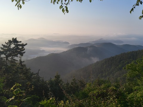 IMG_20260513_060848689.jpg