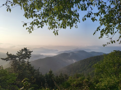 IMG_20260513_060829031.jpg