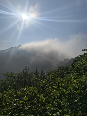 IMG_20260513_072854144_HDR.jpg