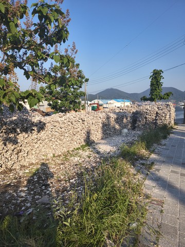 IMG_20260513_174124444.jpg