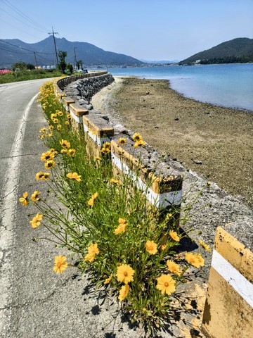 IMG_20260514_122930052_HDR~2.jpg