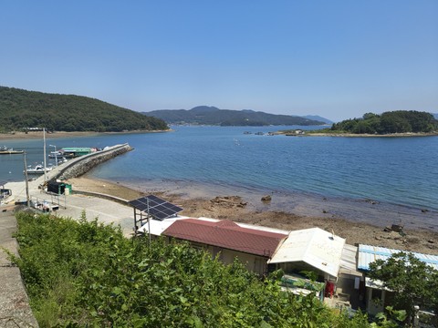IMG_20260515_130107636.jpg