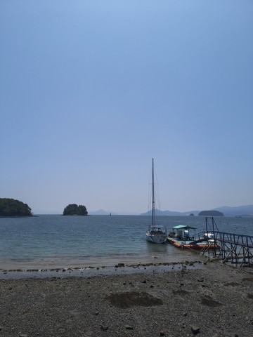 IMG_20260515_122515556.jpg