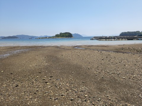 IMG_20260515_130632632.jpg