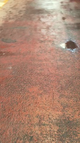 VID_20260515_112544583.mp4